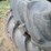 #29233-•-lot-of-(2)-unused-carlisle-18.4-38-tractor-tires-image-3