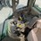 2019-john-deere-6110m-image-8