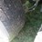 #29518-•-2026-blacksmith-trailers-85-4402-235-28’-tri/a-aluminum-dump-trailer-4b9b4d329tx103291-image-8