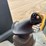 2016-caterpillar-d3k2-lgp-image-28