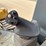 2016-caterpillar-d3k2-lgp-image-30