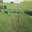 #29292-•-frontier-hay-fork-mjal1201d700235-image-1