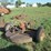 #29508-•-bush-hog-512-5'-pull-type-cutter-28446-image-3