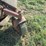 #29507-•-bush-hog-5'-3pt-cutter-image-6