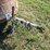 #29512-•-homemade-16'-t/a-steel-stock-trailer-image-14