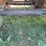#29518-•-2026-blacksmith-trailers-85-4402-235-28’-tri/a-aluminum-dump-trailer-4b9b4d329tx103291-image-11