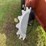 hesston-730-image-15