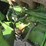 john-deere-2550-image-39