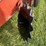 hesston-730-image-13
