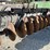 john-deere-235-image-16