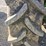 john-deere-2550-image-57