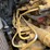 caterpillar-226d-image-40