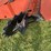 hesston-730-image-14
