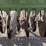 john-deere-8200-image-17
