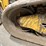 2019-caterpillar-259d-image-13