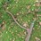 17ft-sign-pole-with-bracket-image-2