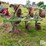 john-deere-4200-image-5