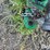 2006-john-deere-567-image-9