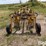 2000-vermeer-r23a-image-6