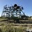 john-deere-960-image-4