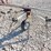 hesston-3717-image-16