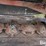 new-holland-616-image-20