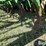 john-deere-lz812-image-14