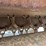 john-deere-6320-image-18