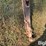 ficklin-231-image-10