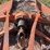 bush-hog-206-image-13