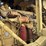 caterpillar-627b-image-45