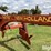new-holland-1475-image-14