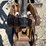 case-cx27b-image-15