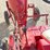international-cub-image-23