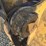 caterpillar-312-image-11