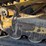 caterpillar-259d-image-55