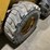 caterpillar-236d-image-15