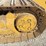 caterpillar-953b-image-66