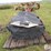 new-holland-616-image-6