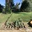 john-deere-350-image-2
