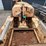 caterpillar-22-image-5