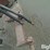 international-710-image-12