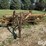 new-holland-56-image-2