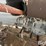 deutz-f4l912-image-16