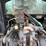 agco-allis-8610-image-17