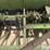 john-deere-dr16-image-16