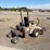 grasshopper-725-image-3