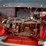 cub-cadet-big-country-image-19