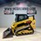 2019-caterpillar-259d3-image-1