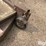 grasshopper-614-image-18